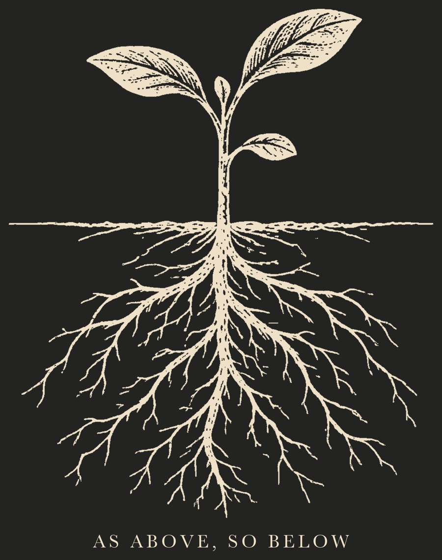 An engraved seedling above a wide network of roots, captioned As Above, So Below
